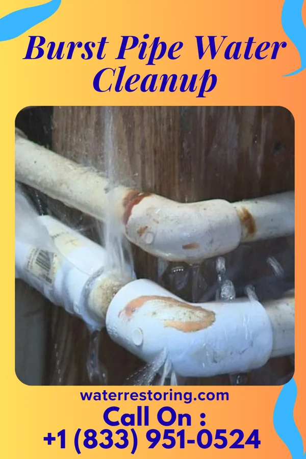Burst Pipe Water Cleanup in Charles Town, WV