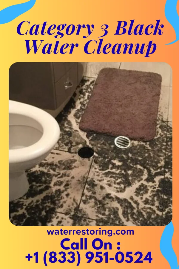 Category 3 Black Water Cleanup in Charles Town, WV