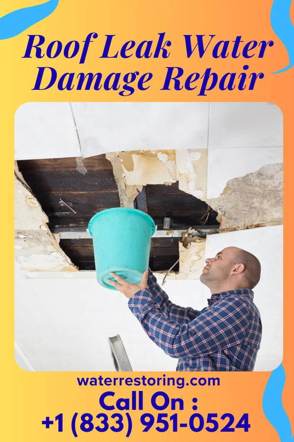 Roof Leak Water Damage Repair in Charles Town, WV