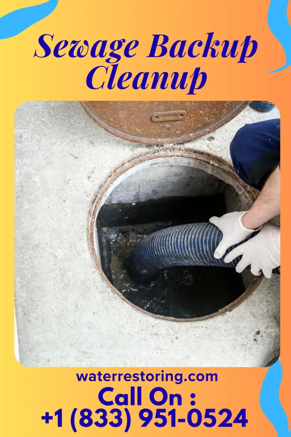 Sewage Backup Cleanup in Charles Town, WV